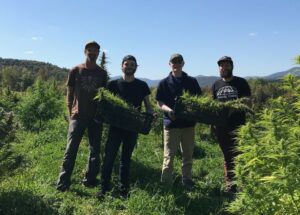 Students showing their cannabis plants